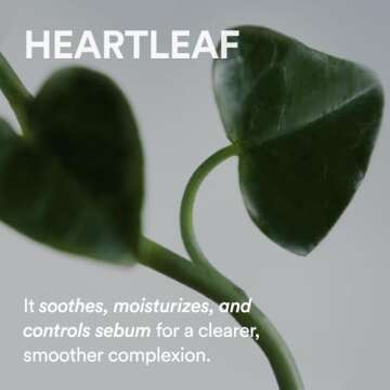 Gentle Cleansing Oil for Sensitive Skin | Abib Heartleaf