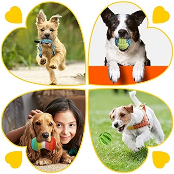 Zeaxuie 25 Pack Luxury Dog Chew Toys for Small Puppies