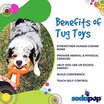 SodaPup Can Pull Tab Interactive Dog Tug Toy