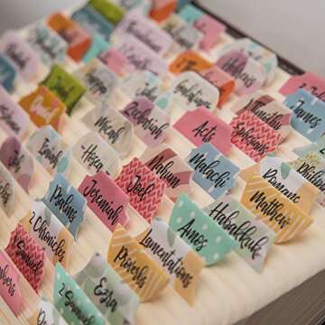 DIVERSEBEE Laminated Bible Tabs (Large Print, Easy to Apply), Bible Study Journaling Supplies, Bible Index Book Tabs for Women, Bible Accessories (Diverse)