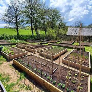 COLOtime Bamboo Stakes 58 Inch (Approx 5FT) Garden Stakes Plant Stakes for Outdoor Climbing Plants Poles Sticks Support Tomatoes 20 Pack