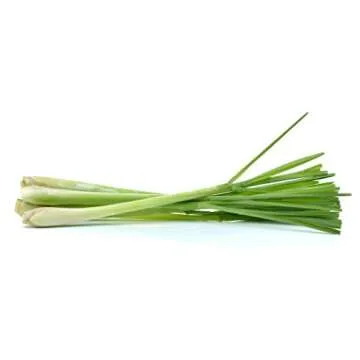 US Organic 100% Pure Lemongrass Essential Oil 10 ml