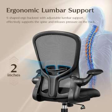 FelixKing Office Desk Chairs, Ergonomic PC Desk Chair with Wheels, Adjustable Lumbar Support and Height, Swivel Computer Chair with Flip-up Armrests, Ergo Mesh Backrest for Working (Black)