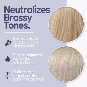 Arista Purple Shampoo Bar | Nourishing & Eco-Friendly Hair Care