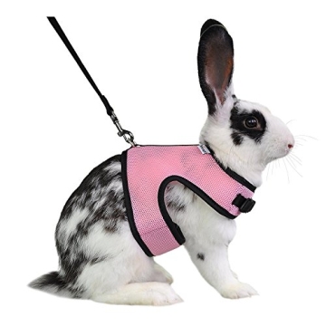 Niteangel Adjustable Soft Rabbit Harness with Elastic Leash (L, Pink)