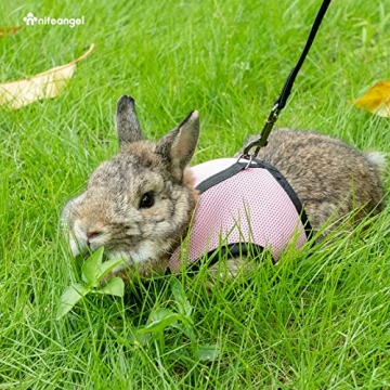 Niteangel Adjustable Soft Harness for Rabbits in Pink