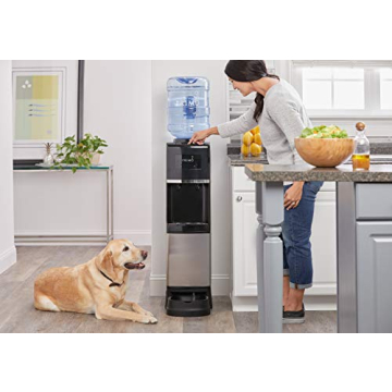Primo Easy Top Loading Water Dispenser for Pets and Families
