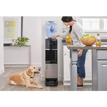 Primo Easy Top Loading Water Dispenser for Pets and Families