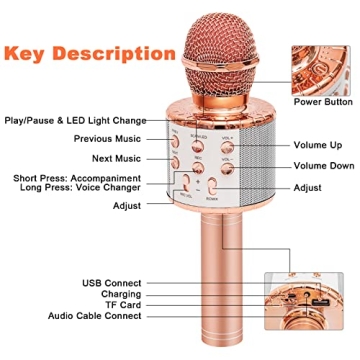 Alversun Wireless Karaoke Microphone for Kids 3-12