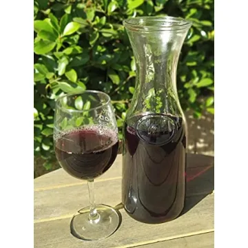 Tinker Spoon Ash 1L Glass Carafe Set with Silicone Lids