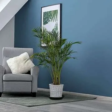 Durable 16 Inch Eco-Friendly Plant Saucer for Indoor Use