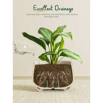 LE TAUCI Plant Pots, 4.1+5.1+6.5 inch, Set of 3, Ceramic Planters with Drainage Hole and Saucer, Indoor Flower Pot with Hole Mesh Pad, Gifts for Mom, Reactive Glaze Beige