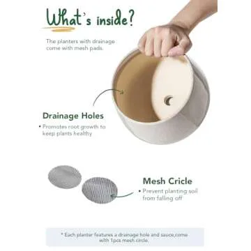 LE TAUCI Plant Pots, 4.1+5.1+6.5 inch, Set of 3, Ceramic Planters with Drainage Hole and Saucer, Indoor Flower Pot with Hole Mesh Pad, Gifts for Mom, Reactive Glaze Beige