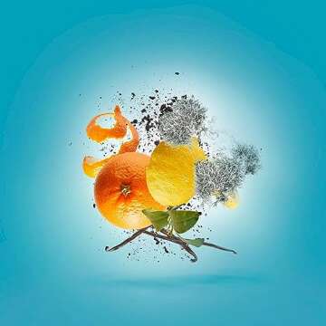 XERJOFF Erba Pura Eau De Parfum Spray - Luxury Fragrance