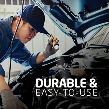 Eveready LED Flashlights 8-Pack for Camping & Emergencies