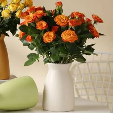 hjn White Ceramic Vase – Minimalist Home Decor Vase for Flowers, Centerpieces, and Modern Interiors (Cream White)