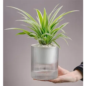 Greachieve Self Watering Planter Pots for Indoor Plants