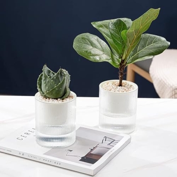 Greachieve Self Watering Planter Pots for Indoor Plants