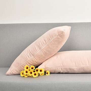 NATUS WEAVER 2 Packs Luxury Oblong Velvet Cushion Covers Decorative Throw Pillow Case for Couch, 12" x 20 ", Baby Pink