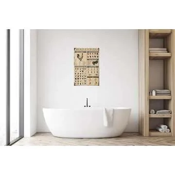 Chicken Knowledge Chicken Decor Metal Tin Sign Chicken Coop Signs Wall Decor Breeds Of Chickens Retro Farm Chicken Signs For Coop Funny Outdoor Decorations Parts Of Chicken Wing Anatomy Types Combs 8x12 inch