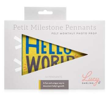 Lucy Darling Petit Milestone Pennants – 12 Felt Baby Monthly Banners for Newborn Photography & Dec...
