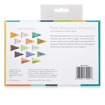 Lucy Darling Petit Milestone Pennants for Baby Photos