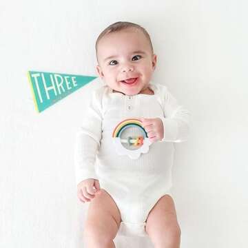 Lucy Darling Petit Milestone Pennants for Baby Photos