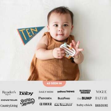 Lucy Darling Petit Milestone Pennants for Baby Photos