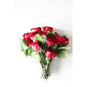 From You Flowers - One Dozen Long Stemmed Red Roses with Glass Vase (Fresh Flower Bouquets) Birthday, Anniversary, Valentine's Day, Get Well, Congratulations, Thank You, All Occasions