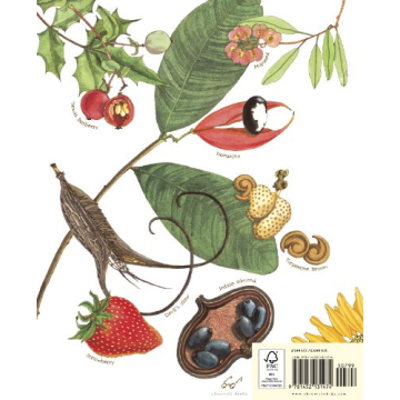 A Seed Is Sleepy: Nature Books for Kids' Learning