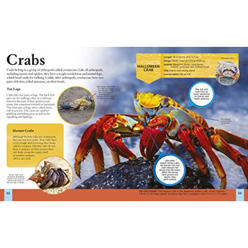 Children's Encyclopedia of Ocean Life: A Deep Dive into Our World's Oceans (Arcturus Children's Reference Library, 10)