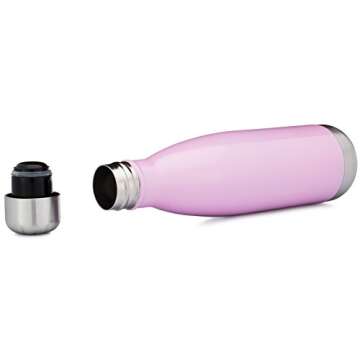 Simple Modern Stainless Steel Vacuum Insulated Double-Walled Wave Bottle, 25oz - Blush (Wave Water Bottle)