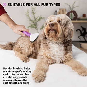 Top Slicker Brush for Dogs, Cats, and Rabbits 2023