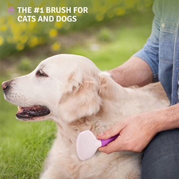 Top Slicker Brush for Dogs, Cats, and Rabbits 2023