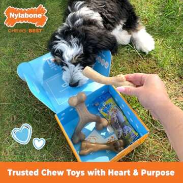 Nylabone Puppy Gift Box - Includes Chew Toys and Natural Treats for Small Breeds