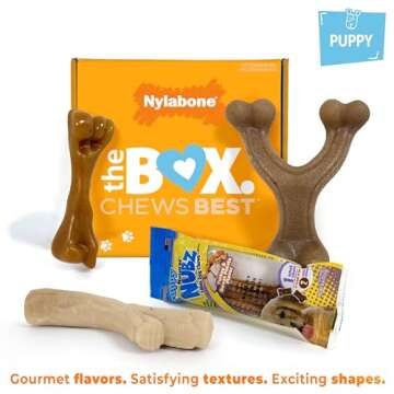 Nylabone Puppy Gift Box - Chew Toys and Treats for Small Breeds