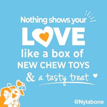 Nylabone Puppy Gift Box - Chew Toys and Treats for Small Breeds
