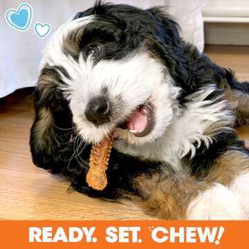 Nylabone Puppy Gift Box - Chew Toys and Treats for Small Breeds