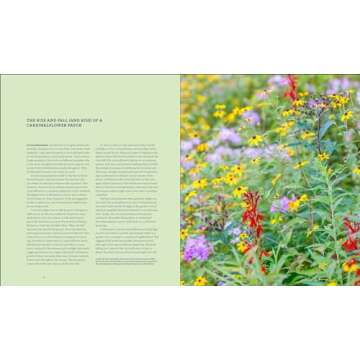 Garden Revolution: How Our Landscapes Can Be a Source of Environmental Change