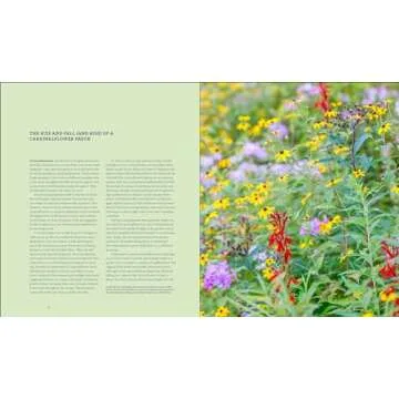 Garden Revolution: How Our Landscapes Can Be a Source of Environmental Change