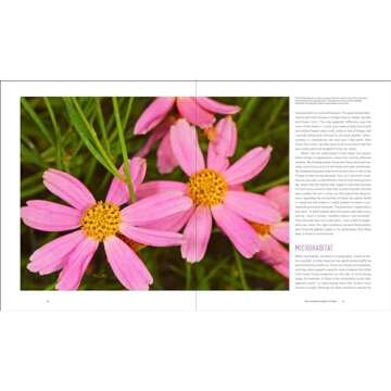 Garden Revolution: How Our Landscapes Can Be a Source of Environmental Change