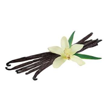 LorAnn Organic Madagascar Vanilla Bean Paste, 4 ounce - 3 pack