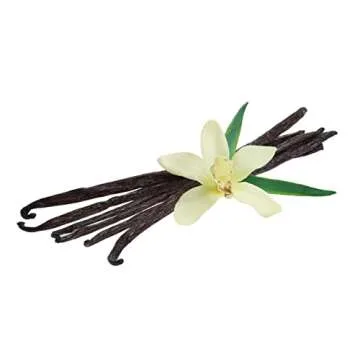 LorAnn Organic Madagascar Vanilla Bean Paste for Baking Deluxe