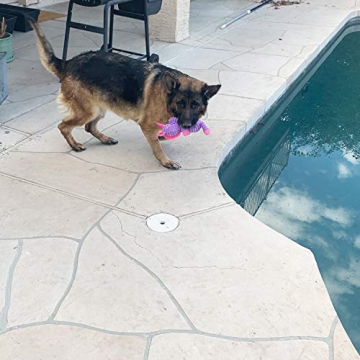 Jalousie 5 Pack Plush Dog Squeaky Toys Bundle for Play