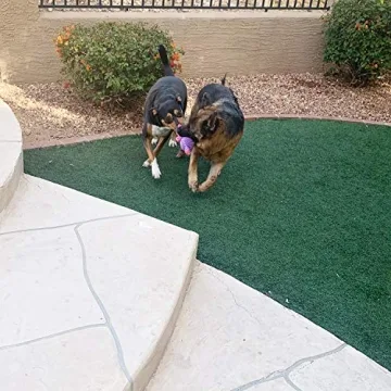 Jalousie 5 Pack Plush Dog Squeaky Toys Bundle for Play