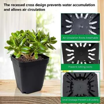 RooTrimmer 90 Pack Square Nursery Pots for Seed Starting