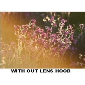 PLR Optics 58MM Lens Hood - See Description for Compatible List