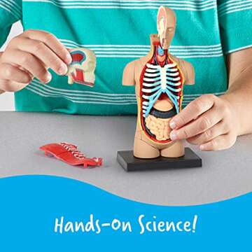 Learning Resources Human Body Model for Science Fun