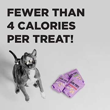 BIXBI Bark Pops, Rotisserie Chicken (4 oz, 1 Pouch) - Crunchy Small Training Treats for Dogs - Wheat Free and Low Calorie Dog Treats, Flavorful Healthy and All Natural Dog Treats