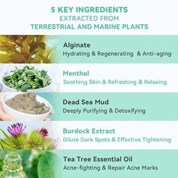 Fasplendor Peel-Off Jelly Face Mask, Professional Natural Alginate Modeling Powder with Dead Sea Mud, Tea Tree Oil & Menthol, for Acne and Blackhead Removal, Deep Cleansing, 8 Pack, Made in France